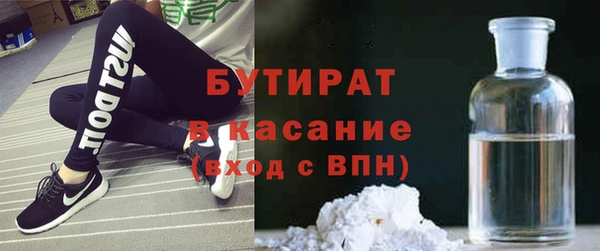 прущие грибы Рославль