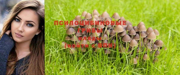 СК Белоозёрский