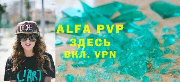 прущие грибы Рославль