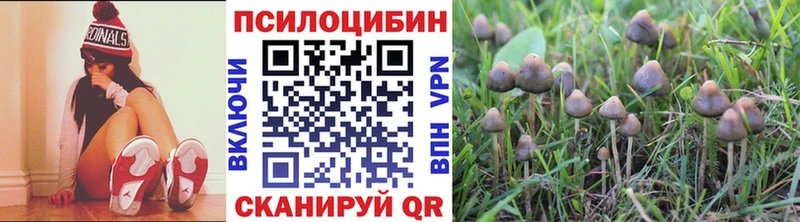 сколько стоит  Заозёрный  Галлюциногенные грибы Magic Shrooms 